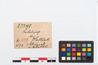 Etikett zu Bleiperle (NHMW-PRAE-025397)